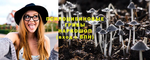 шишки Бугульма