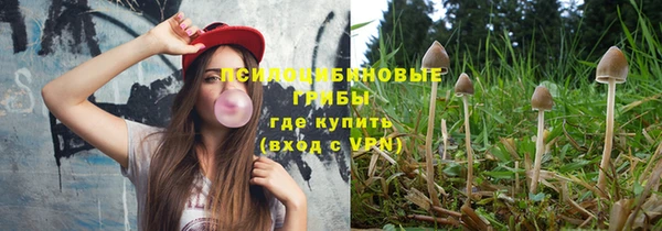 шишки Бугульма