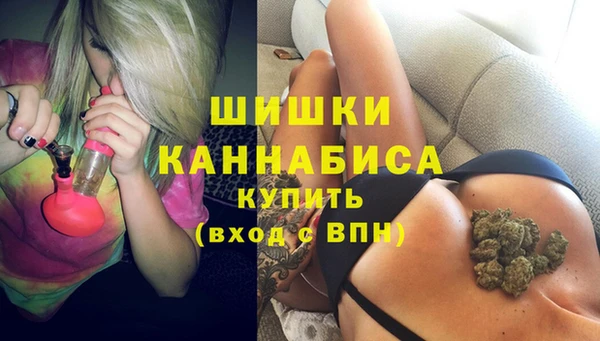 СК Бородино