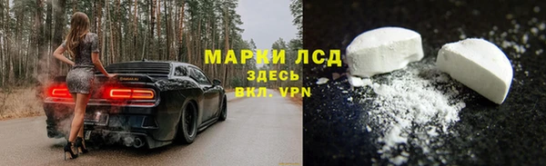 СК Бородино