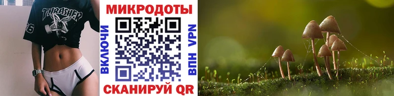 Купить где  Находка  Псилоцибиновые грибы Magic Shrooms 
